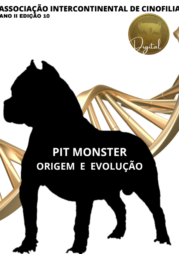 REVISTA DIGITAL AIC, EDIÇÃO 10, JUNHO/JULHO 2023